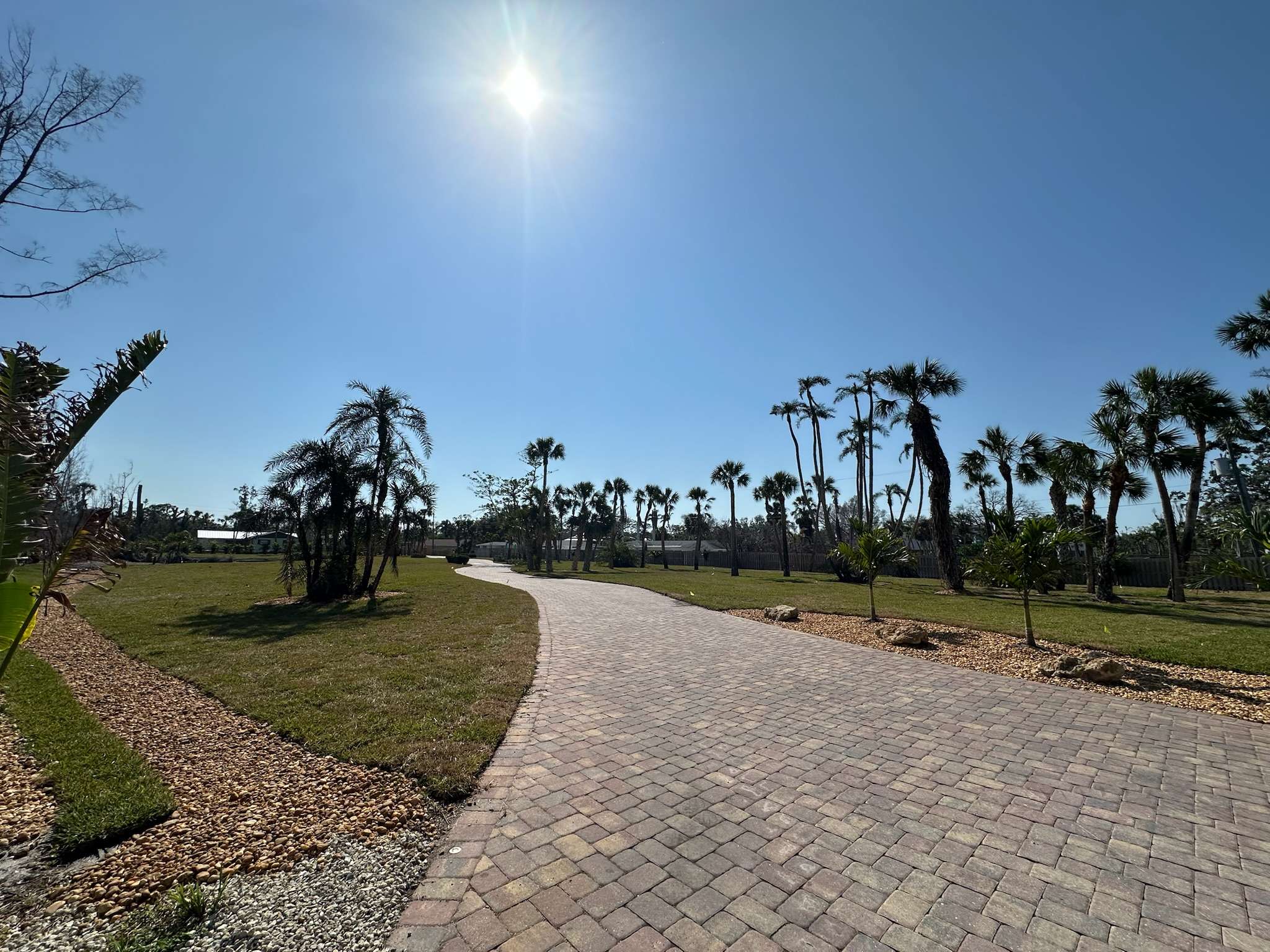Newly planted trees and St Augustine sod installed.